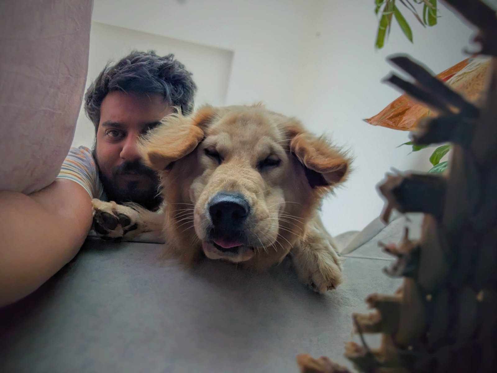 I have a dog who is as curious as me.